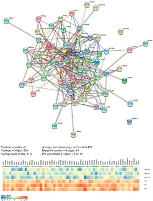 Molecular Regulation of the Melatonin Biosynthesis Pathway in Unipolar and Bipolar Depression